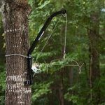 Best 5 Deer Winch Systems To Choose In 2020 Reviews + Guide